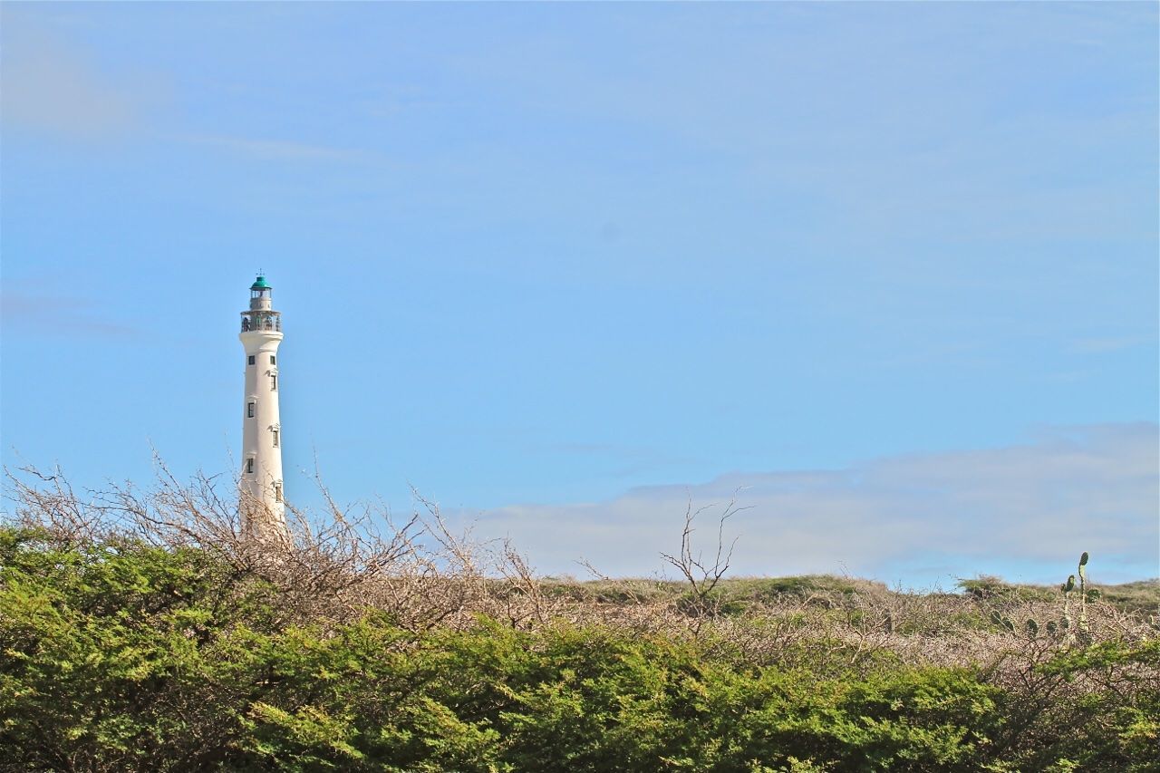 lighthouse, sky, tower, plant, guidance, nature, architecture, sea, built structure, coast, no people, blue, day, security, hill, land, grass, protection, building exterior, water, building, outdoors, travel destinations, scenics - nature, beach, copy space, cloud, travel, clear sky, tranquility, beauty in nature, growth, field