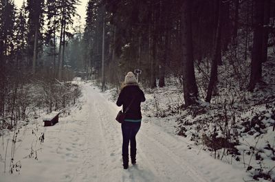 Woman standing on snow covered trees