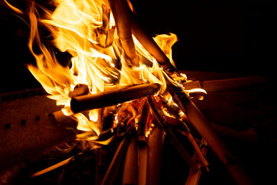 Beautiful formation of fire created by burning some dry reeds forming spectacular and bright flames 