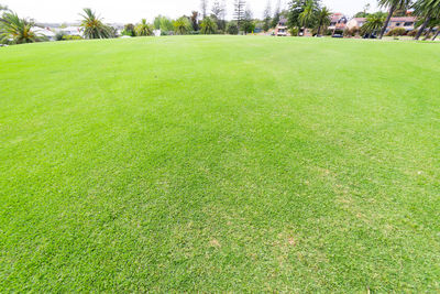 Scenic view of field