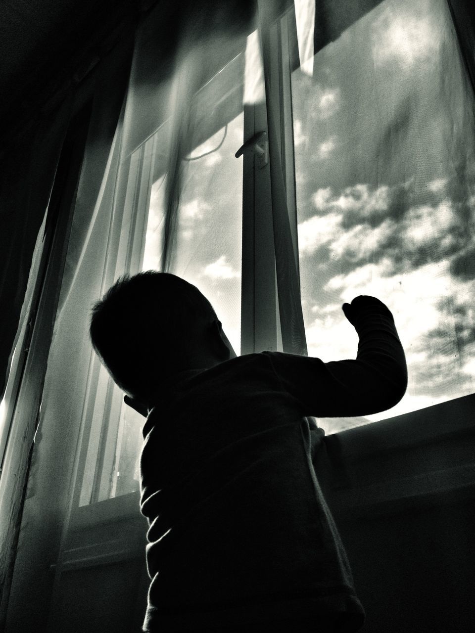 indoors, low angle view, window, sky, rear view, cloud - sky, men, one animal, sunlight, glass - material, cloud, day, silhouette, animal themes, sitting, lifestyles, looking through window, leisure activity