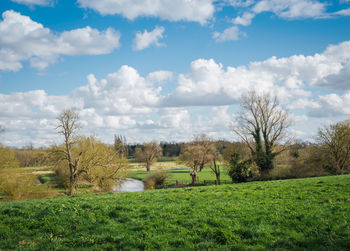 Scenic view of grassy field against cloudy sky