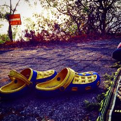 High angle view of shoes on tree