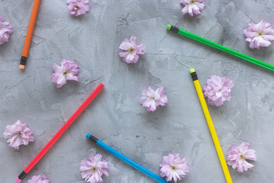 Multicolored wooden pencils and pink sakura flowers. spring floral gray background. drawing