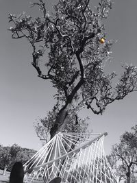 Low angle view of bare trees against sky