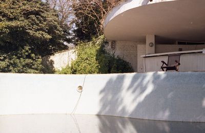 Bird flying against wall