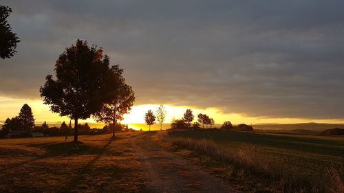 Trees on field against sky during sunset