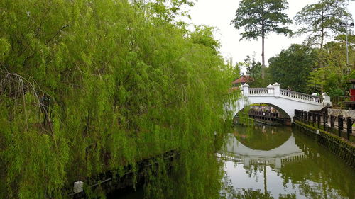 Scenic view of lake