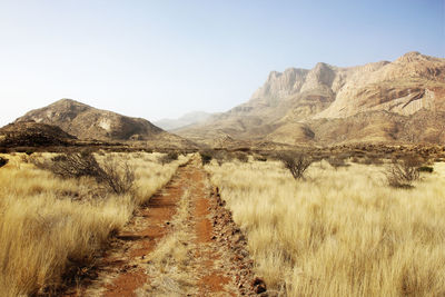 Road amidst field against clear sky