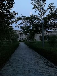 Footpath amidst trees and houses against sky