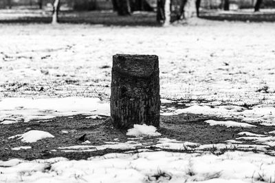 Close-up of snow on field