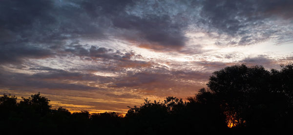 Low angle view of silhouette trees against sky during sunset
