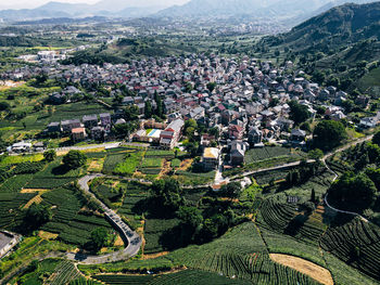 High angle view of trees and buildings in city
