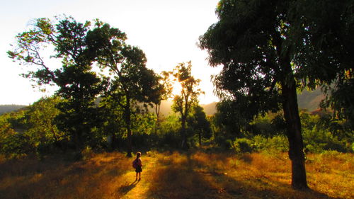 Man amidst trees against sky during sunset