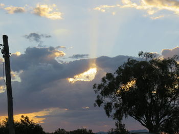 Low angle view of silhouette trees against sky during sunset