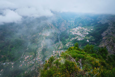 environment