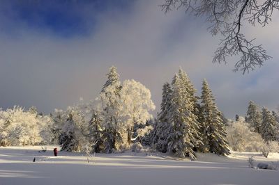 Snow covered landscape