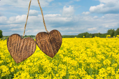 Yellow flowers on field against sky