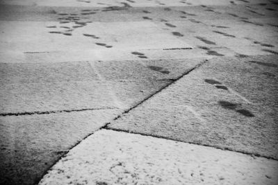 High angle view of footprints on footpath