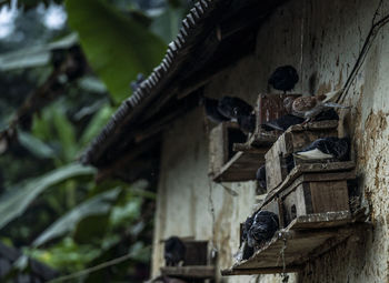 Low angle view of old abandoned building