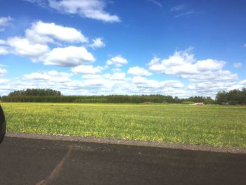 Scenic view of field against sky