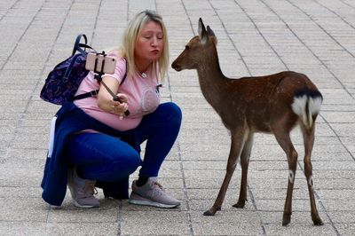 Woman taking selfie with deer on footpath