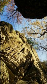 Low angle view of bare tree against clear sky