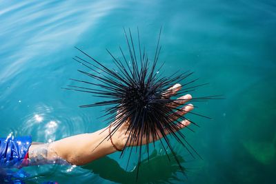 Person hand in sea