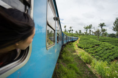 Resting asian female taking train along green plants