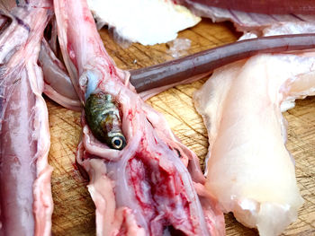 High angle view of fish in stomach for sale in market