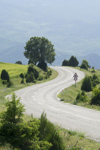 Scenic view of road amidst trees against sky