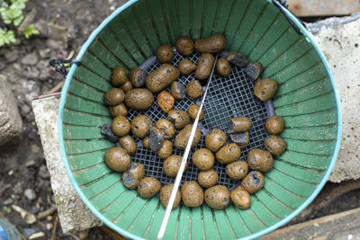 High angle view of eggs in basket