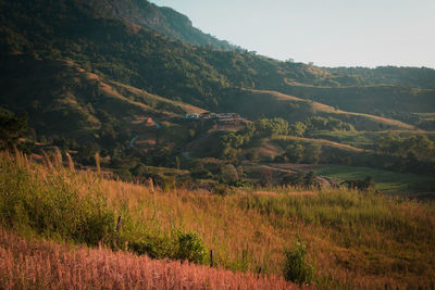 Scenic view of field against sky