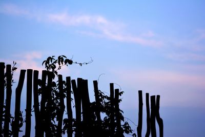 Low angle view of silhouette bird on wooden post against sky