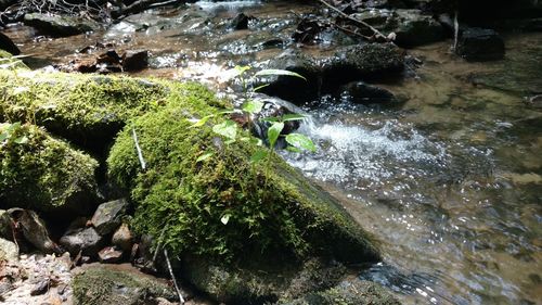 Stream flowing through rocks