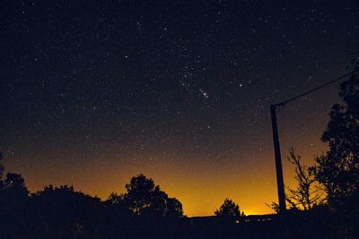 Low angle view of silhouette trees against sky at night