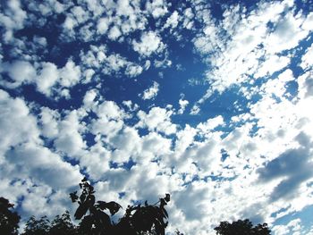 Low angle view of tree against blue sky