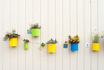 Yellow flowers hanging on a wall in pots 