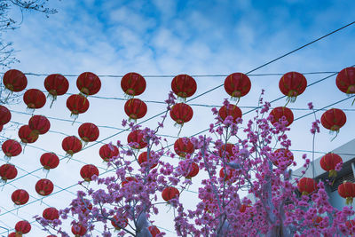 Low angle view of flowering plants against sky