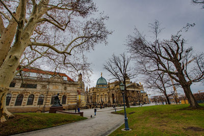 Trees and buildings against sky