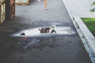 Reflection of people in puddle
