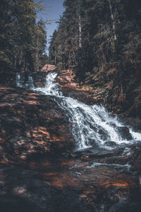 Scenic view of waterfall in forest