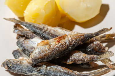 Close-up of fish in plate