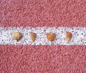 Full frame shot of red wall