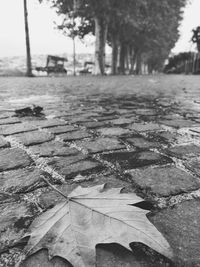 Surface level of road