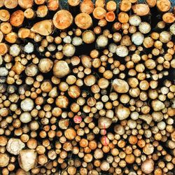 Full frame shot of logs