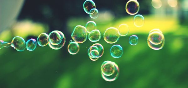 Close-up of water drops on grass