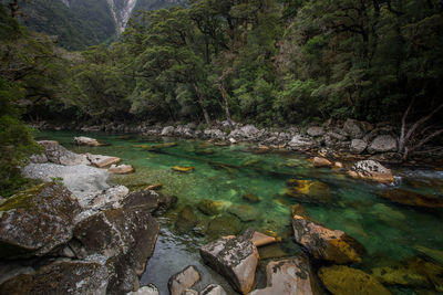 Stream flowing through rocks in forest