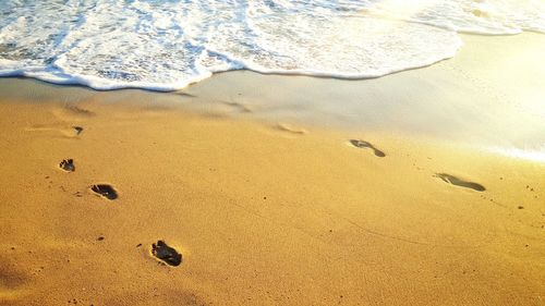 High angle view of footprints on shore at beach