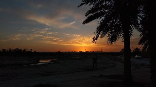 Silhouette palm trees on beach against sky at sunset